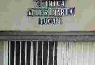 Image of Clínica Veterinaria Tucan service in Cordoba, Cordoba, Spain