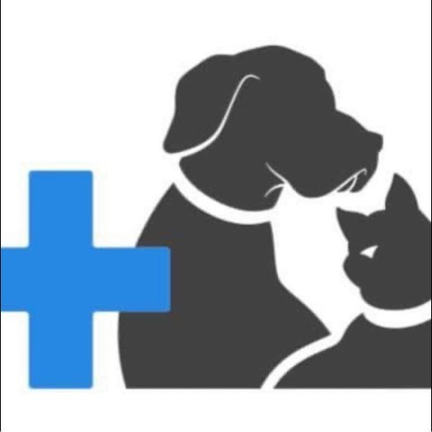 Image of Naas Veterinary Clinic service in Naas, Kildare, Ireland Image of Naas Veterinary Clinic service in Naas, Kildare, Ireland