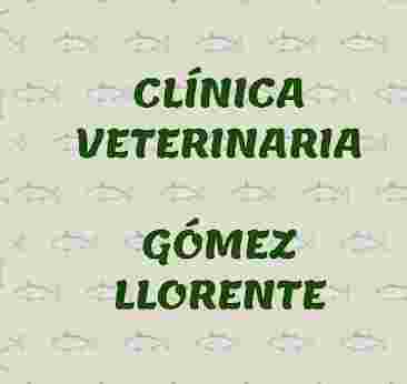Image of Clínica Veterinaria Gómez Llorente service in Valladolid, Valladolid, Spain