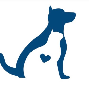 Image of The Pro Dog Walkers service in Guelph, Ontario, Canada