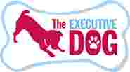 Image of The Executive Dog Inc service in Bristol County, Massachusetts, United States Image of The Executive Dog Inc service in Bristol County, Massachusetts, United States