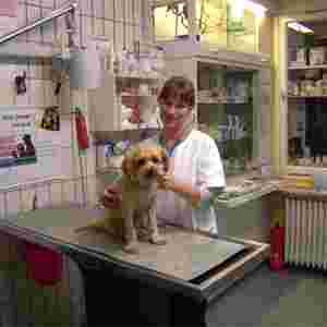 Image of Dr.med.vet. Katharina Dralle Tierärztin service in Berlin, Berlin, Germany Image of Dr.med.vet. Katharina Dralle Tierärztin service in Berlin, Berlin, Germany