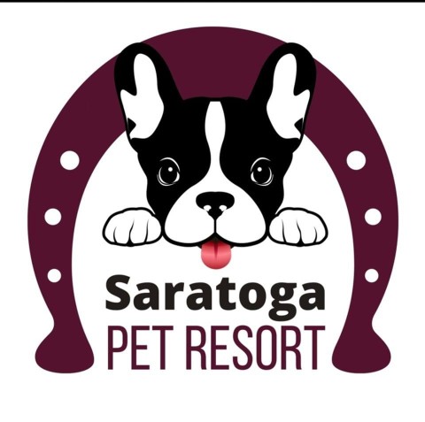 Image of Saratoga Pet Resort service in City of Saratoga Springs, New York, United States Image of Saratoga Pet Resort service in City of Saratoga Springs, New York, United States