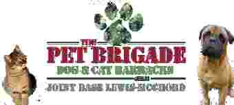 Image of The Pet Brigade service in Fort Lewis, Washington, United States Image of The Pet Brigade service in Fort Lewis, Washington, United States