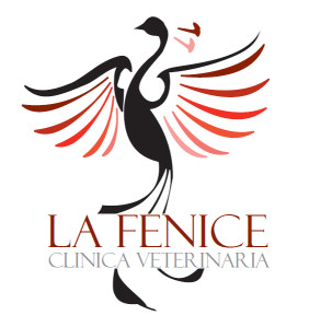 Image of Veterinary Clinic La Fenice service in Chirignago-Zelarino, Veneto, Italy
