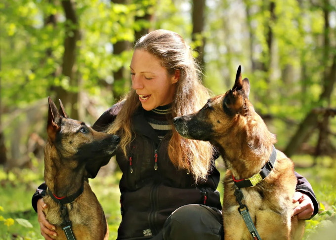 Image of Hundeschule SylvaDogs, Hundetraining service in Kabelsketal, Sachsen-Anhalt, Germany