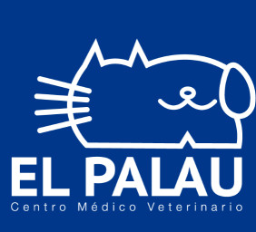 Image of Veterinario - Centro Médico Veterinario El Palau service in Valencia, Valencia, Spain