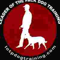 Image of Leader of the Pack Dog Training, LLC service in Portland, Connecticut, United States Image of Leader of the Pack Dog Training, LLC service in Portland, Connecticut, United States