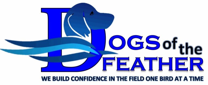 Image of Dogs of the Feather service in Fairfield, Alabama, United States
