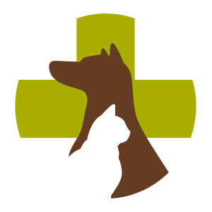 Image of Northern Liberties Veterinary Center service in Philadelphia, Pennsylvania, United States