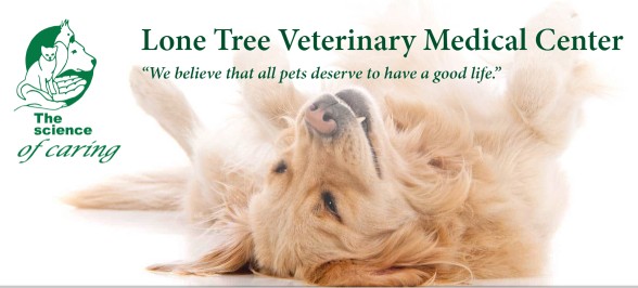 Image of Lone Tree Veterinary Medical Center service in Lone Tree, Colorado, United States Image of Lone Tree Veterinary Medical Center service in Lone Tree, Colorado, United States