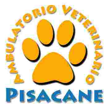Image of Ambulatorio Veterinario Pisacane - Dr. Barlocco Daniela service in Genova, Liguria, Italy