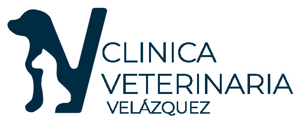 Image of Clínica Veterinaria Velazquez (Málaga) service in Malaga, Malaga, Spain
