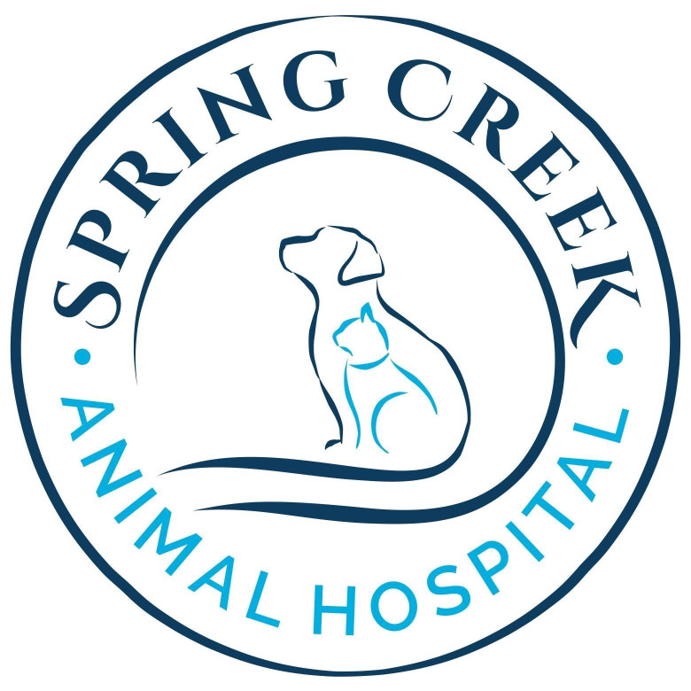Image of Spring Creek Animal Hospital service in San Antonio, Texas, United States