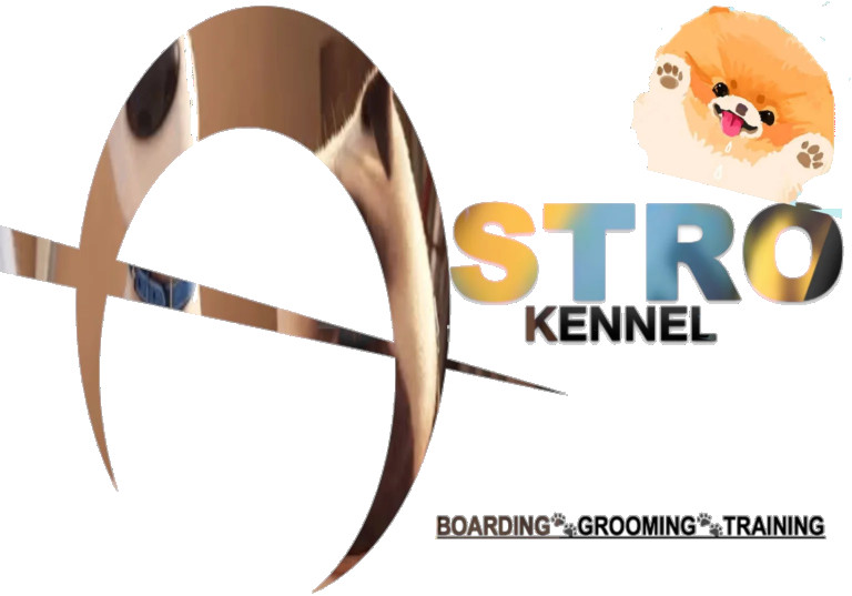 Image of ASTRO KENNEL service in New Delhi, Delhi, India
