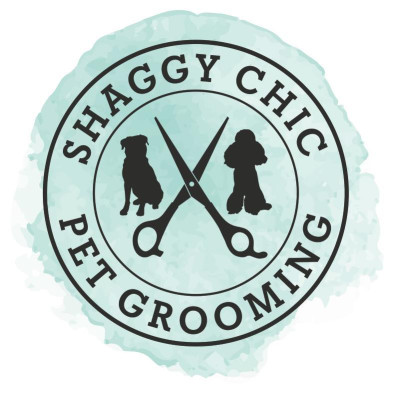 Image of Shaggy Chic Pet Grooming service in Lutherville, Maryland, United States