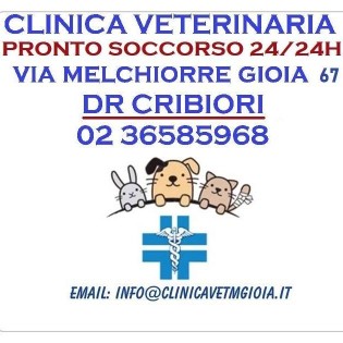 Image of First Aid - Veterinary Clinic M.Gioia - Dr.Cribiori service in Milano, Lombardia, Italy