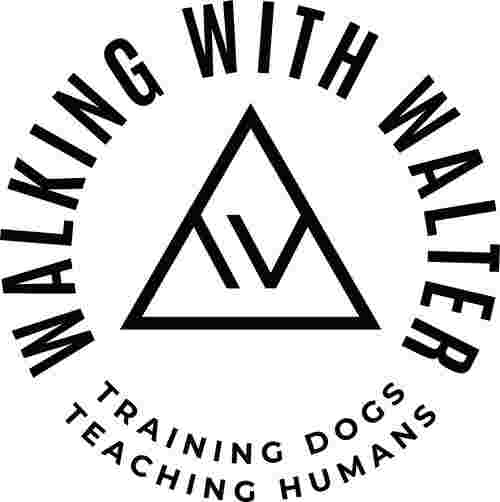 Image of Walking With Walter Dog Training service in Centennial, Colorado, United States