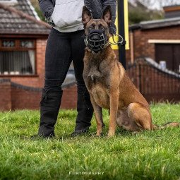 Image of Unityk9 service in Astley, England, United Kingdom