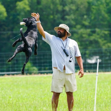 Image of Old Dixie Kennels - The Timber Show LLC service in Somerville, Massachusetts, United States
