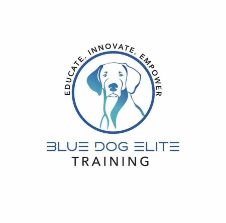 Image of Blue Dog Elite service in Windsor Locks, Connecticut, United States