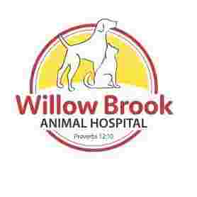 Image of Willow Brook Animal Hospital service in DeSoto, Texas, United States