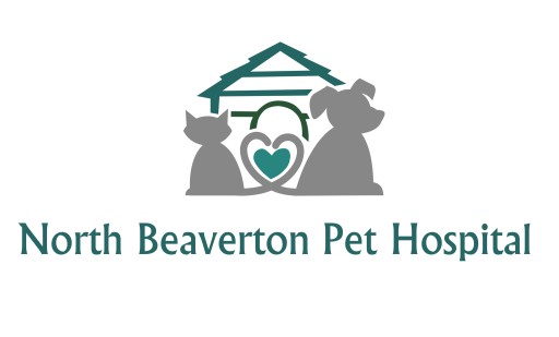 Image of North Beaverton Pet Hospital service in Portland, Connecticut, United States