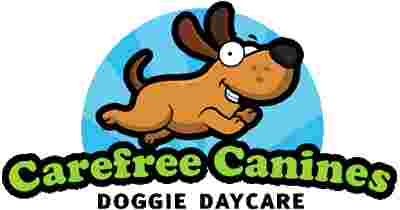 Image of Carefree Canines Doggie Daycare service in Burnaby, British Columbia, Canada Image of Carefree Canines Doggie Daycare service in Burnaby, British Columbia, Canada