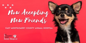 Image of East Montgomery County Animal Hospital service in Conroe, Texas, United States