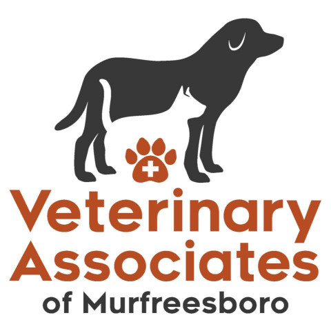 Image of Veterinary Associates of Murfreesboro service in Murfreesboro, Tennessee, United States