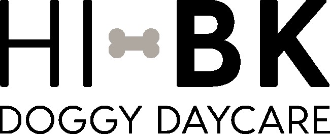 Image of HI-BK Doggy Daycare service in New York, New York, United States
