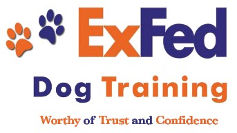 Image of ExFed Dog Training, LLC service in Barnstable County, Massachusetts, United States Image of ExFed Dog Training, LLC service in Barnstable County, Massachusetts, United States