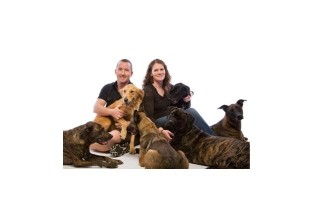 Image of Lose the Leash Dog Training service in Gilbert, Arizona, United States Image of Lose the Leash Dog Training service in Gilbert, Arizona, United States