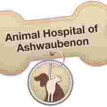 Image of Animal Hospital of Ashwaubenon service in Ashwaubenon, Wisconsin, United States