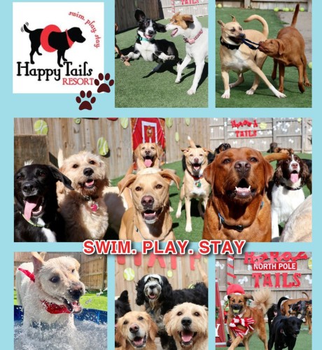 Image of Happy Tails Resort - Norfolk service in Norfolk, Nebraska, United States