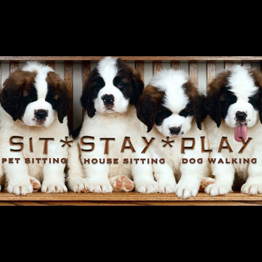 Image of Sit Stay Play service in Tulsa, Oklahoma, United States
