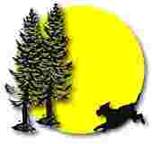 Image of Tall Pines Dog Training service in Middlefield, Connecticut, United States Image of Tall Pines Dog Training service in Middlefield, Connecticut, United States