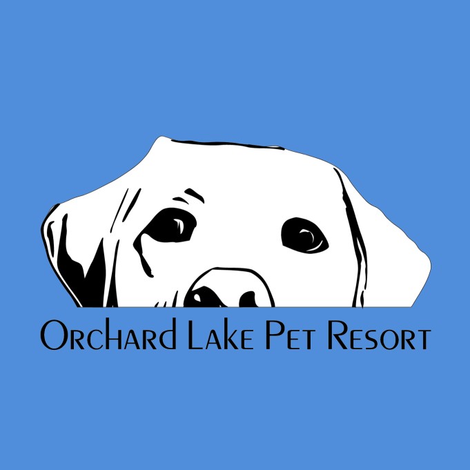 Image of Orchard Lake Pet Resort service in Southfield, Michigan, United States