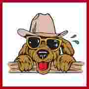 Image of KEP Doggie Dude Ranch & Farm service in Hot Springs, Arkansas, United States Image of KEP Doggie Dude Ranch & Farm service in Hot Springs, Arkansas, United States