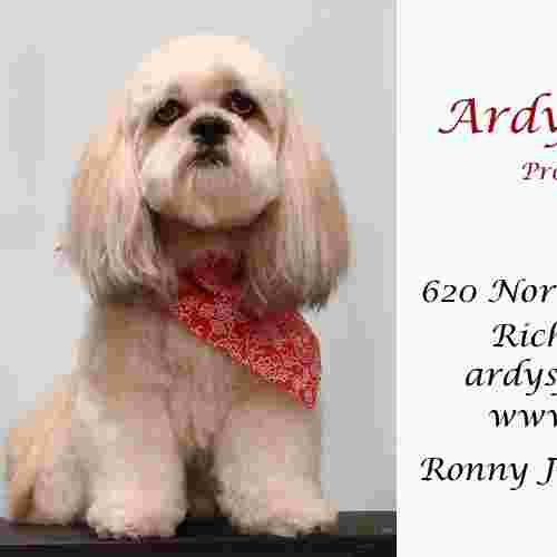 Image of Ardy's For Paws service in Richardson, Texas, United States
