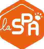 Image of Dispensaire SPA de Lyon service in Lyon, Rhone, France Image of Dispensaire SPA de Lyon service in Lyon, Rhone, France