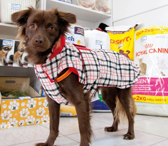 Image of Pupil Pet Store service in Gdansk, Pomorskie, Poland