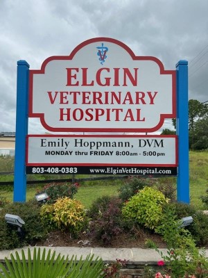 Image of Elgin Veterinary Hospital service in Elgin, Illinois, United States Image of Elgin Veterinary Hospital service in Elgin, Illinois, United States