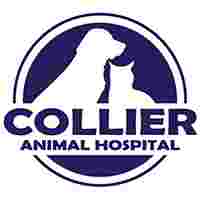 Image of Collier Animal Hospital service in Atlanta, Georgia, United States Image of Collier Animal Hospital service in Atlanta, Georgia, United States