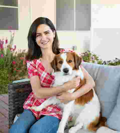 Image of Confident Canines LLC service in Las Vegas, Nevada, United States Image of Confident Canines LLC service in Las Vegas, Nevada, United States
