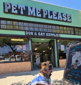 Image of Pet Me Please service in San Diego, California, United States Image of Pet Me Please service in San Diego, California, United States