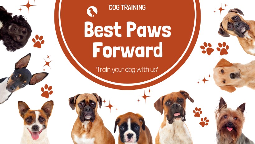 Image of Best Paws Forward Dog Training Academy service in Medina, Ohio, United States
