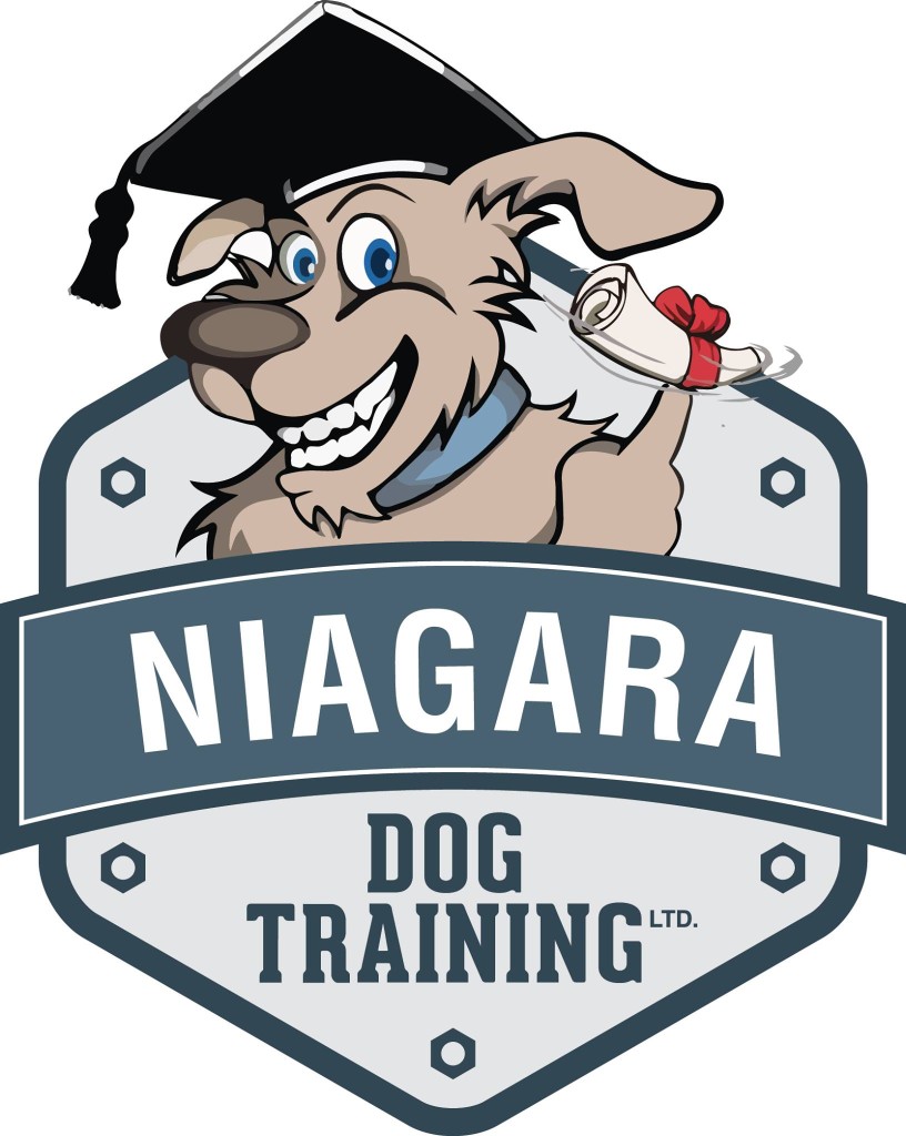 Image of Niagara Dog Training service in St. Catharines, Ontario, Canada Image of Niagara Dog Training service in St. Catharines, Ontario, Canada