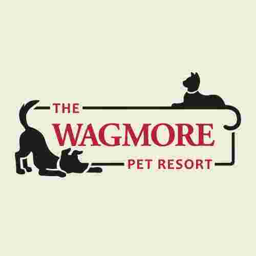 Image of The Wagmore Pet Resort service in Boerne, Texas, United States