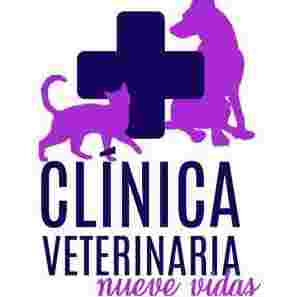 Image of Consulta Veterinaria Nueve Vidas service in Valencia, Valencia, Spain